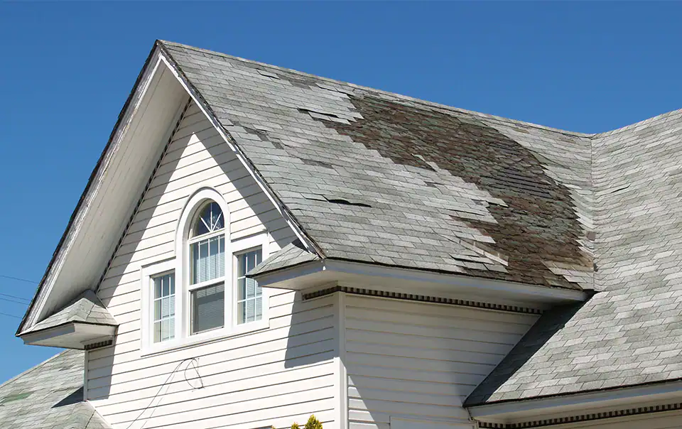 Damaged roof shingles needs replacement for protection and durability.