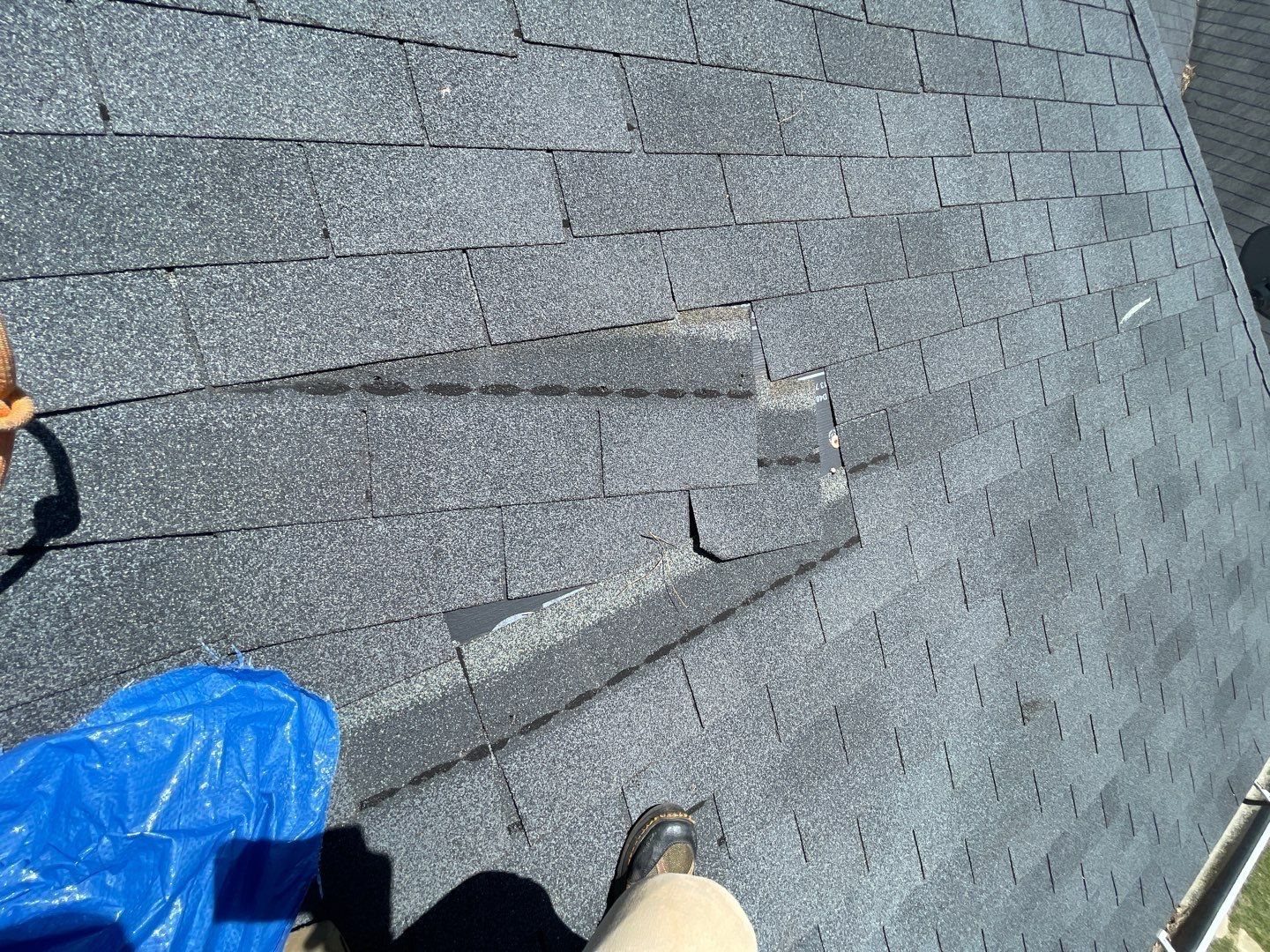 Our inspector on a roof in Milton