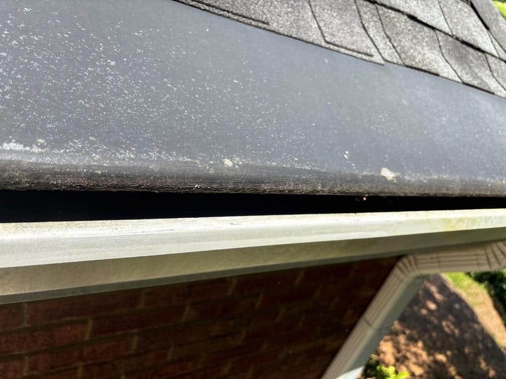 Granule loss documented in a gutter