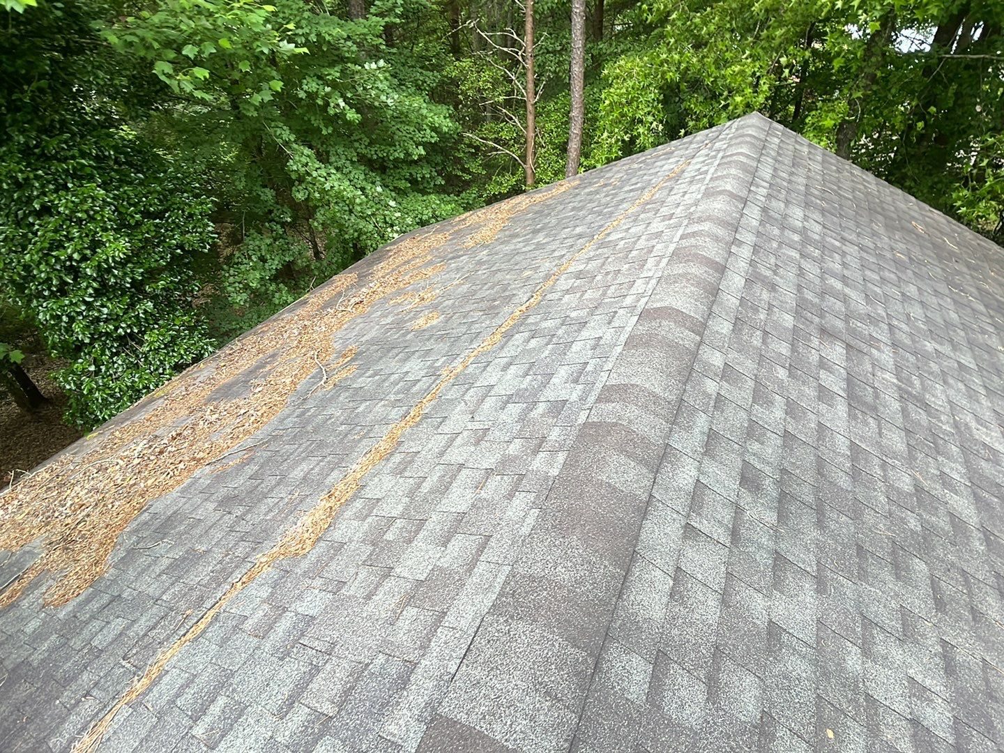 Gainesville roof granule documentation photo