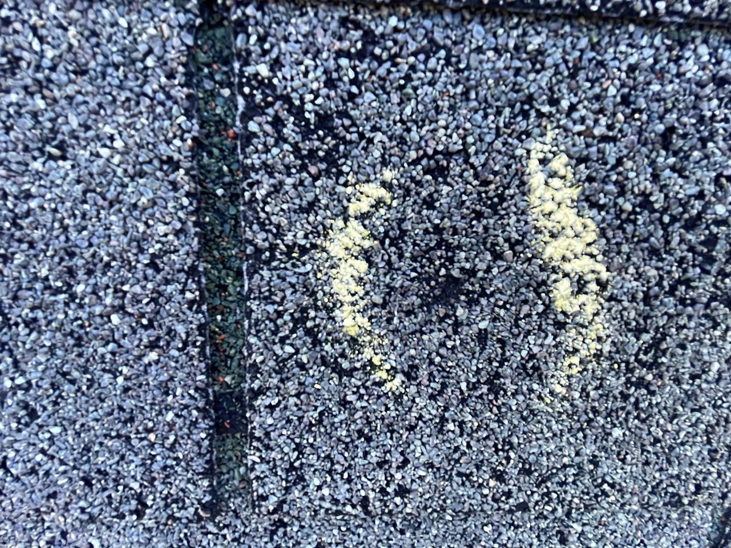 Johns Creek roof granule documentation photo