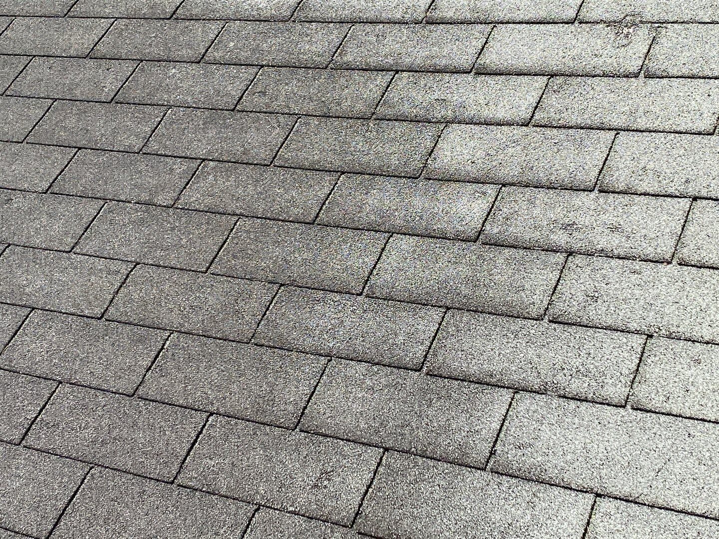 Woodstock roof wind documentation photo
