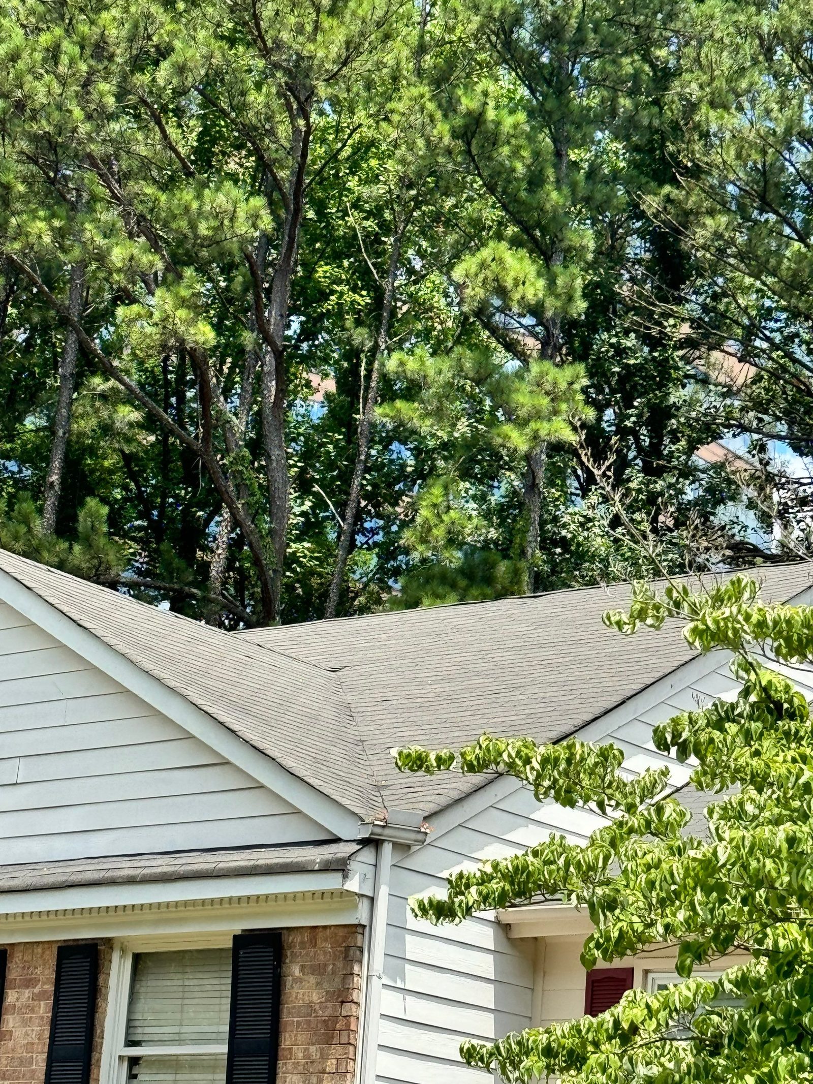 Marietta roof leak documentation photo