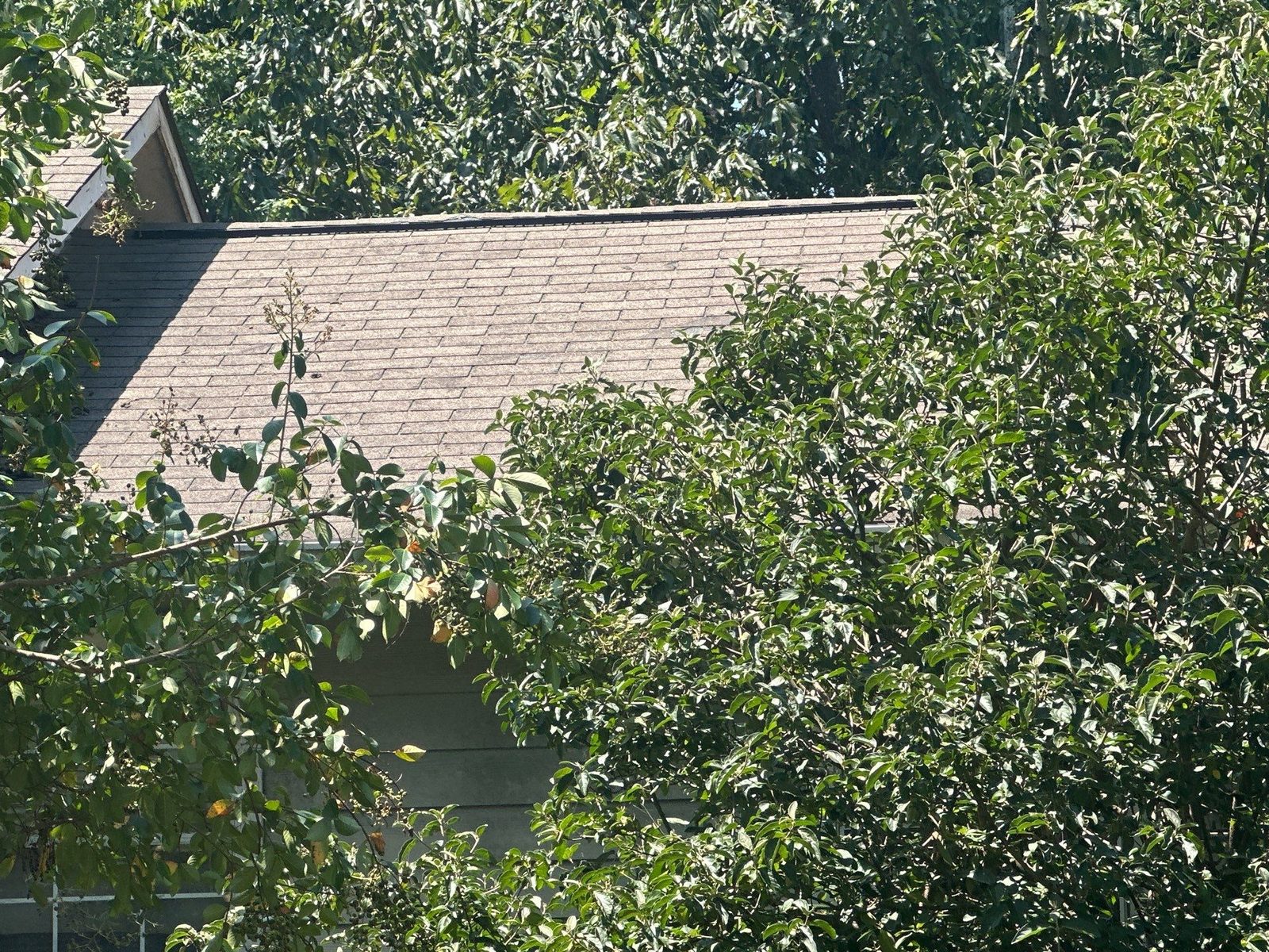 Canton roof granule documentation photo