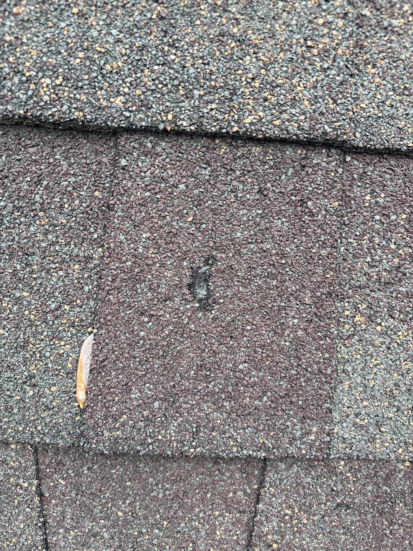 Buford roof leak documentation photo