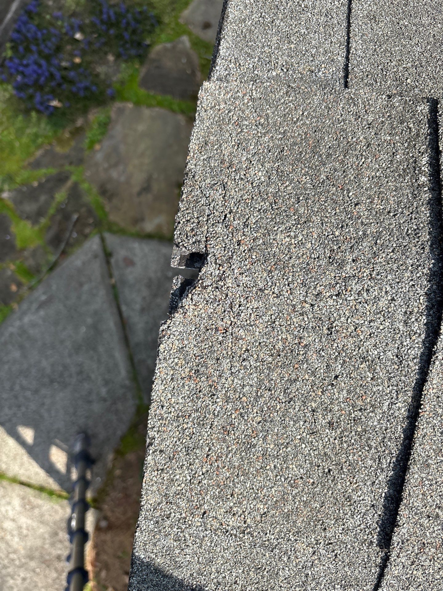 Gainesville roof leak documentation photo