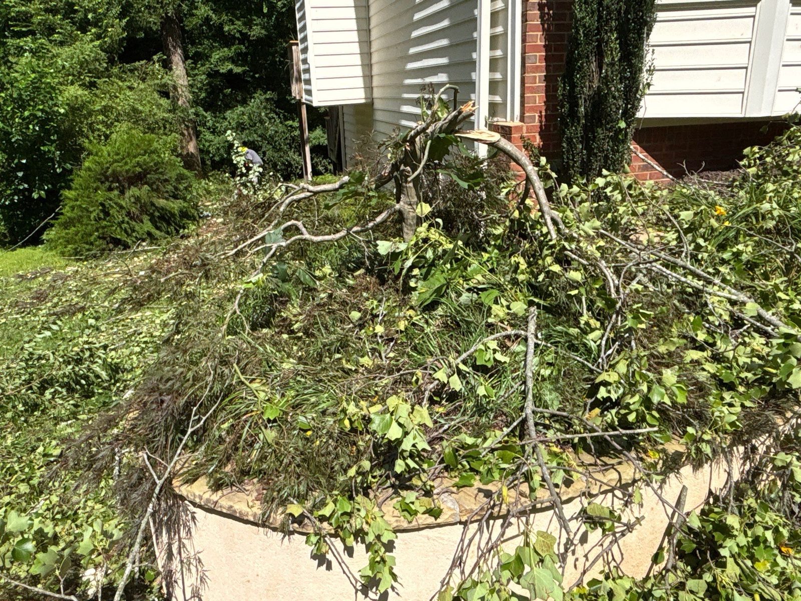 Kennesaw roof leak documentation photo