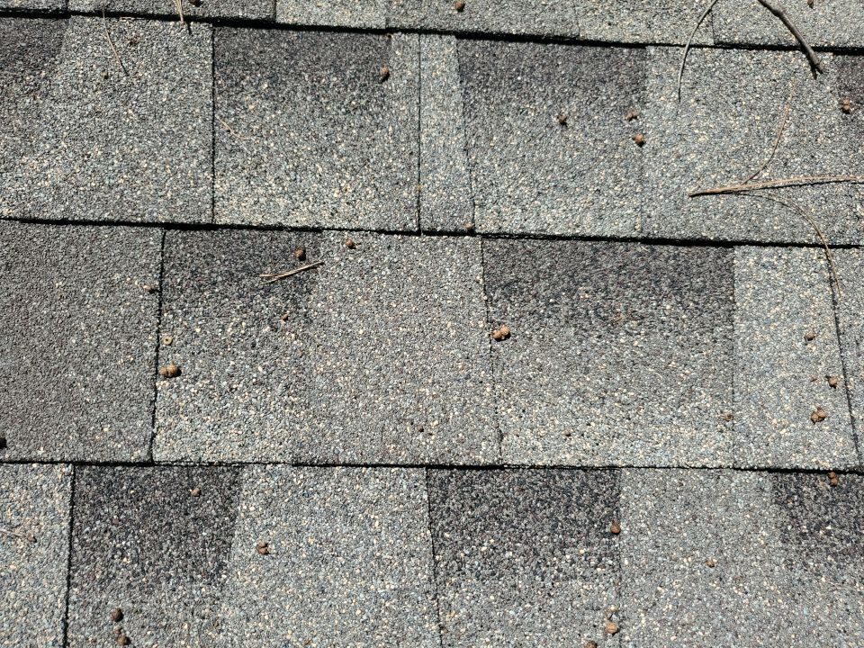 East Cobb roof granule documentation photo
