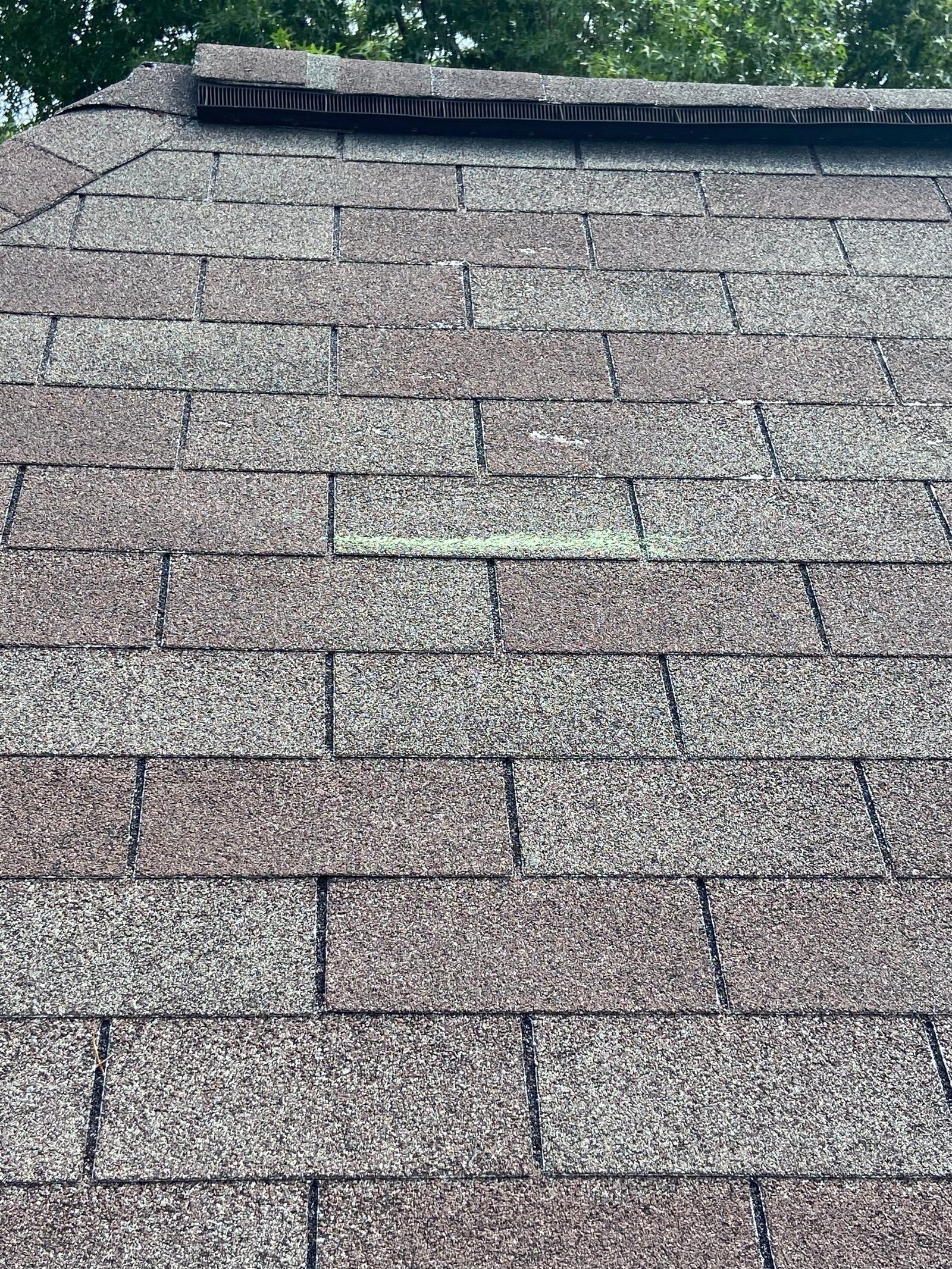 Sandy Springs roof granule documentation photo