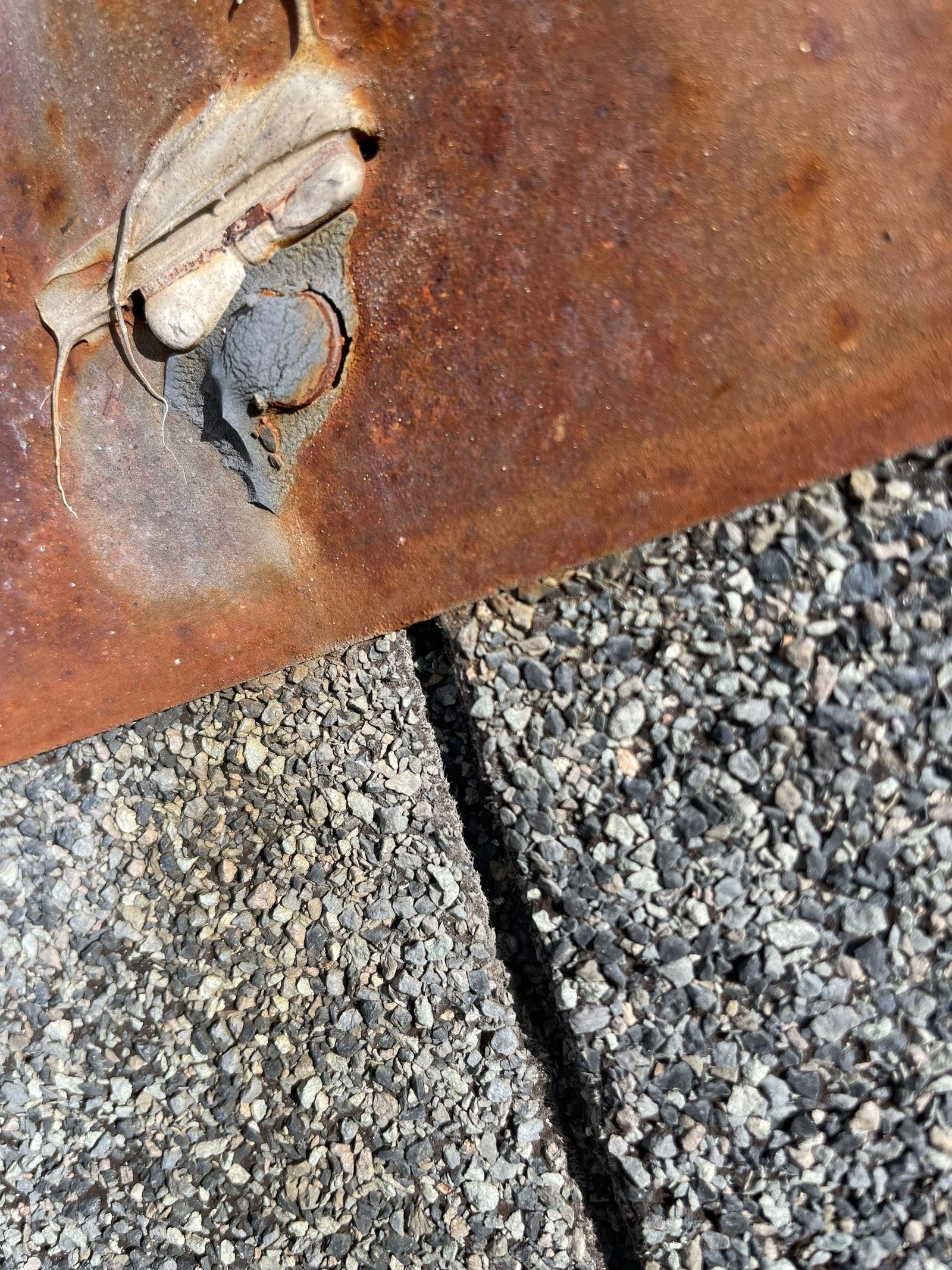 Woodstock roof granule documentation photo