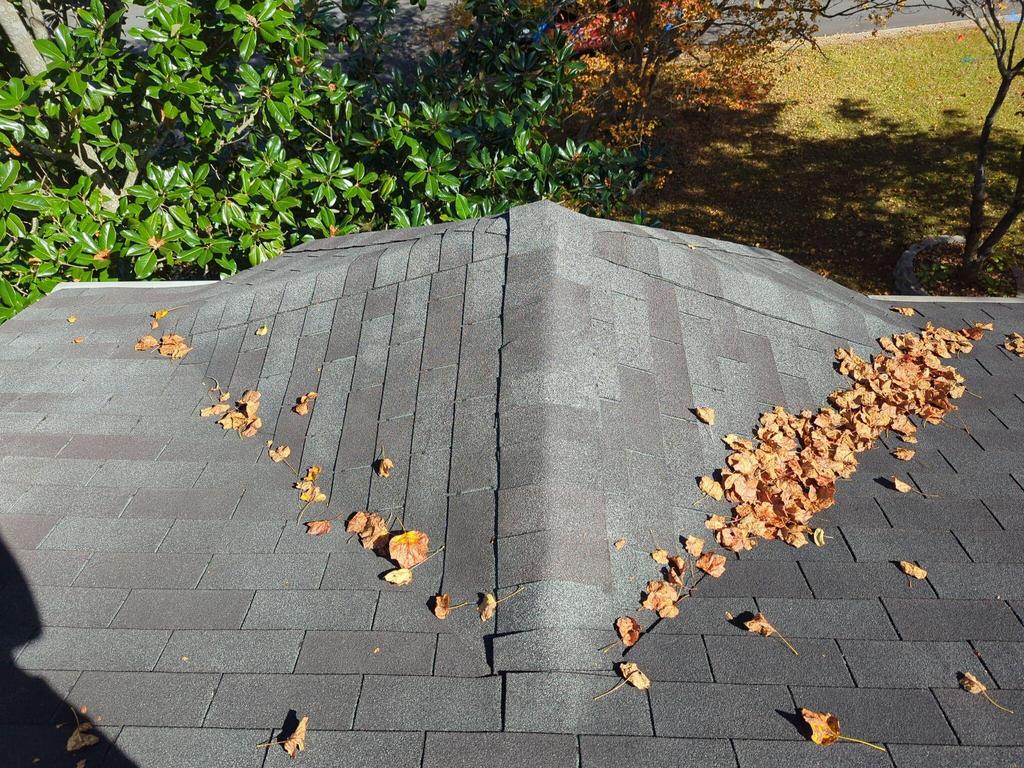 Roofing Snellville, GA — photo documentation by Inspector Roofing